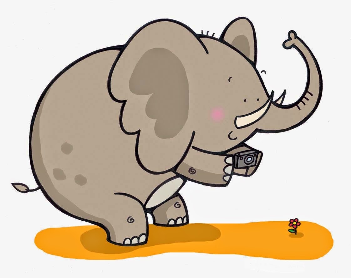 papier peint burung2 bergerak,l'éléphant,dessin animé,éléphants et mammouths,éléphant indien,clipart