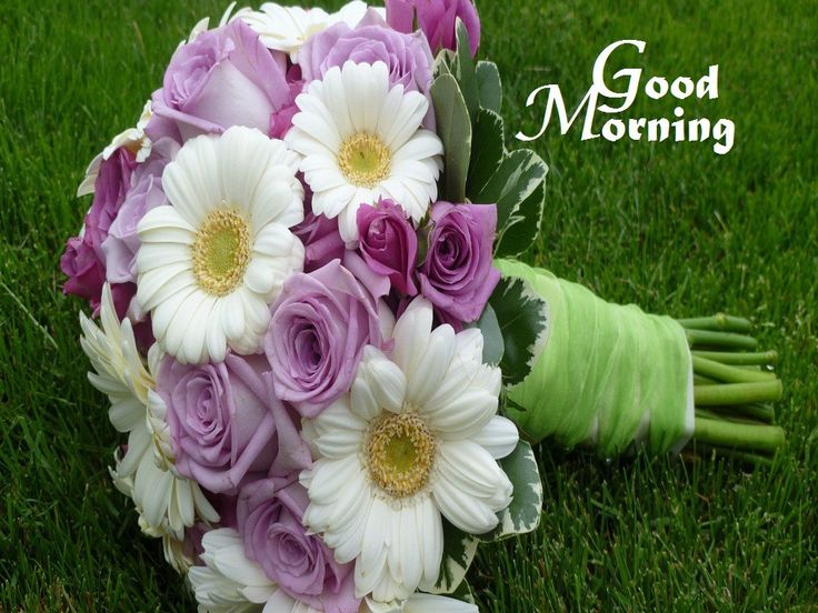 good morning with flowers wallpapers,flower,bouquet,flower arranging,cut flowers,petal