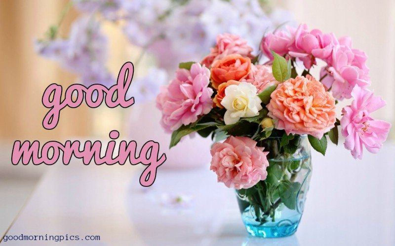 good morning with flowers wallpapers,flower,pink,garden roses,cut flowers,bouquet
