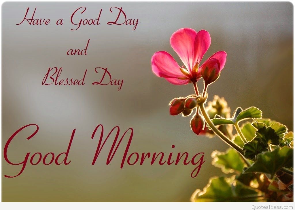 good morning with flowers wallpapers,text,font,petal,flower,greeting card