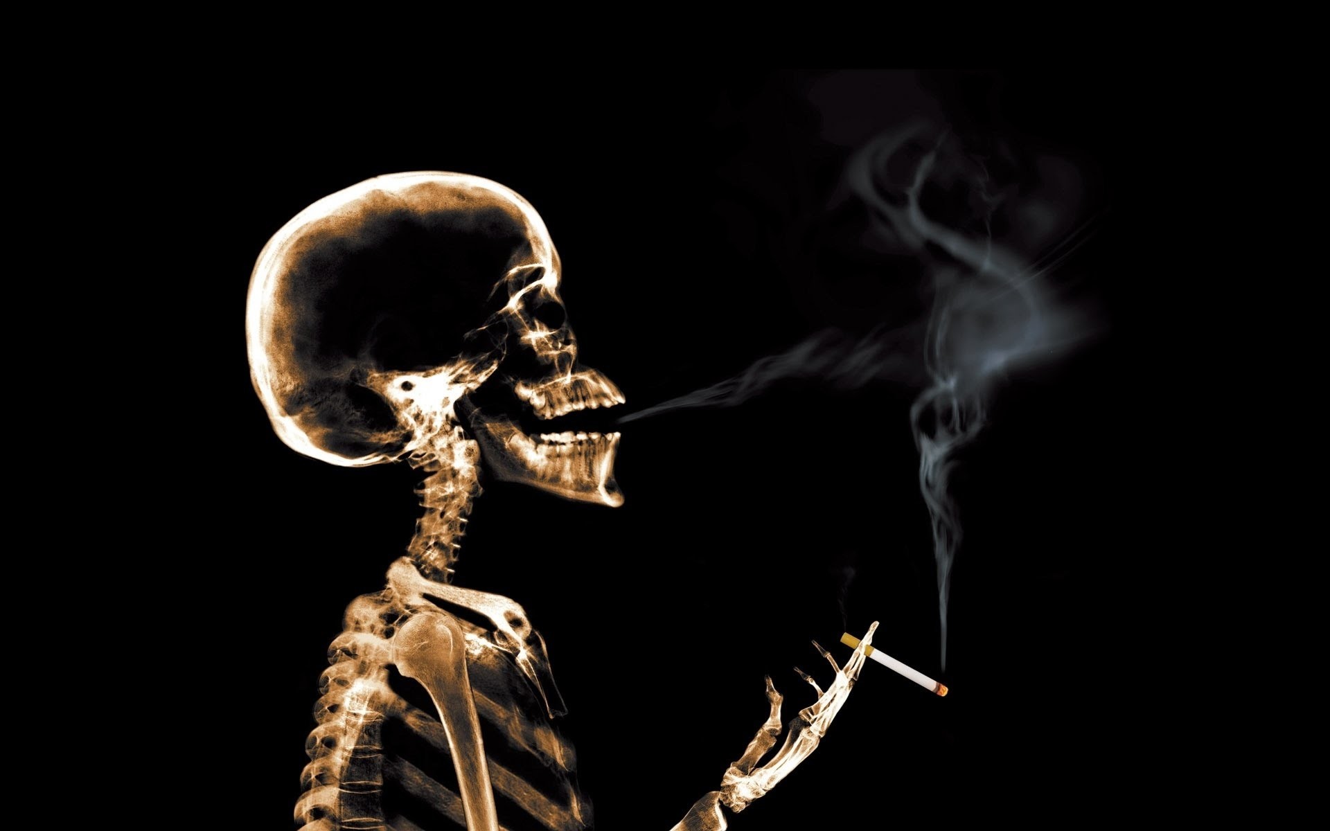 download di sfondi per fumatori,scheletro,umano,fumo,corpo umano,fotografia