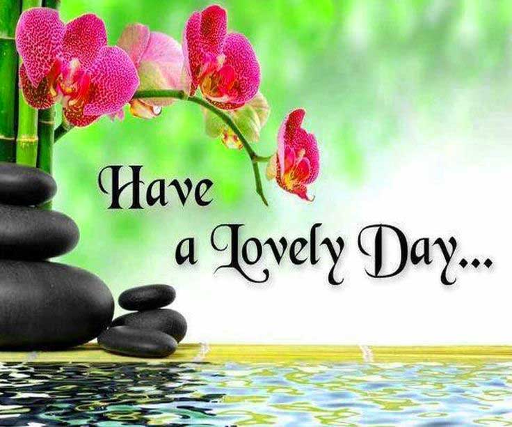 lovely friends wallpaper,nature,text,morning,flower,petal