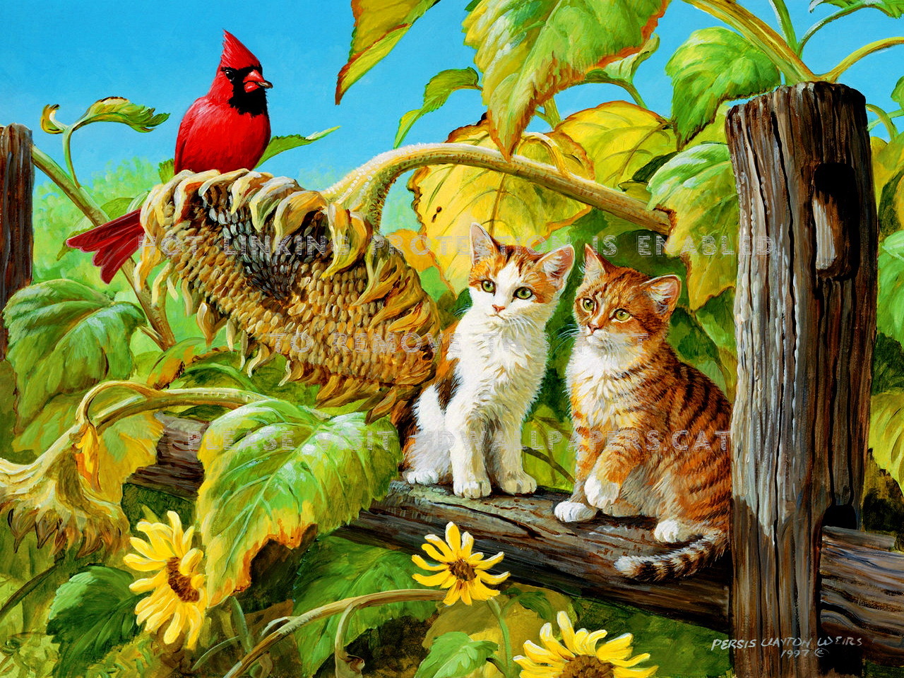 lovely friends wallpaper,cat,felidae,small to medium sized cats,tabby cat,wildlife