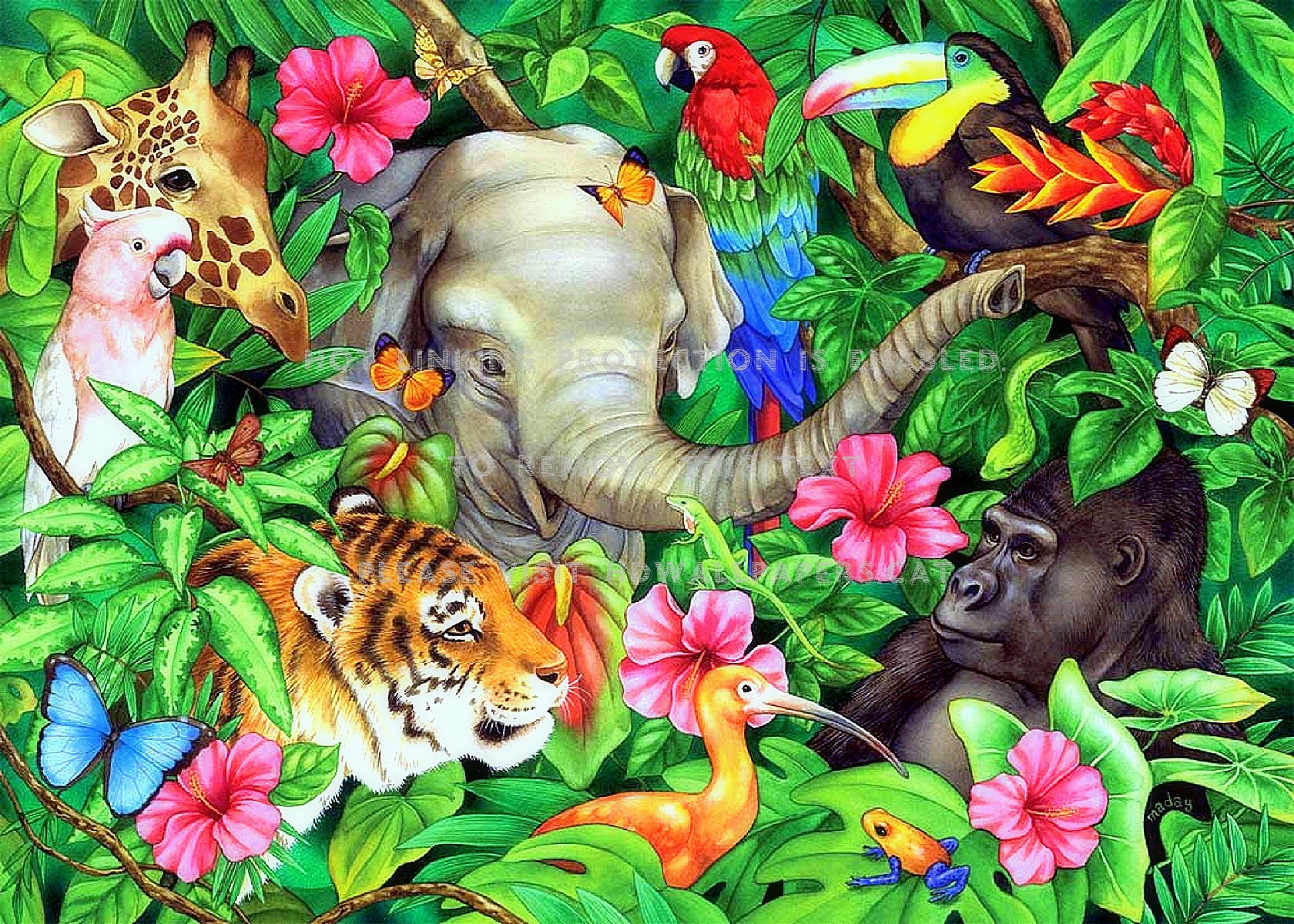 lovely friends wallpaper,felidae,tiger,elephant,indian elephant,jungle