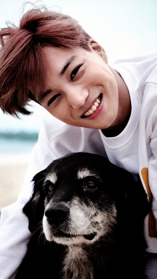 fondo de pantalla de kim jongin,perro,sonrisa,perro de compañía,humano,hocico