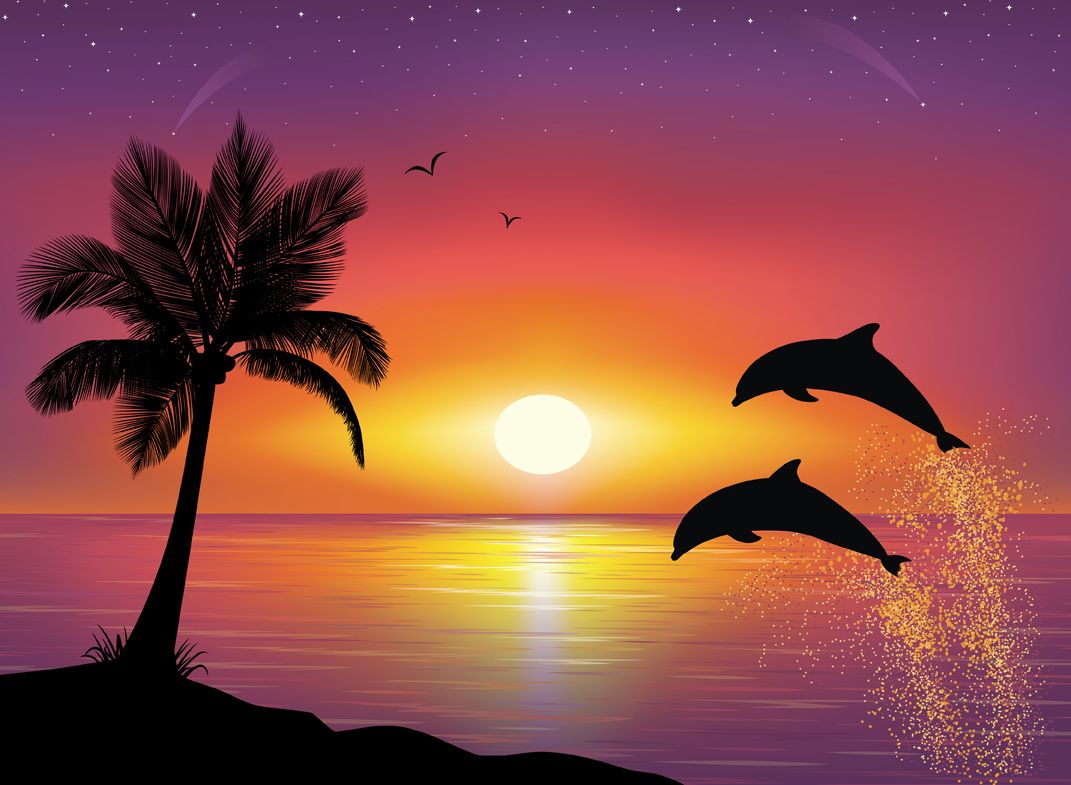 シンプルな美しい壁紙,イルカ,空,バンドウイルカ,海洋哺乳類,日没