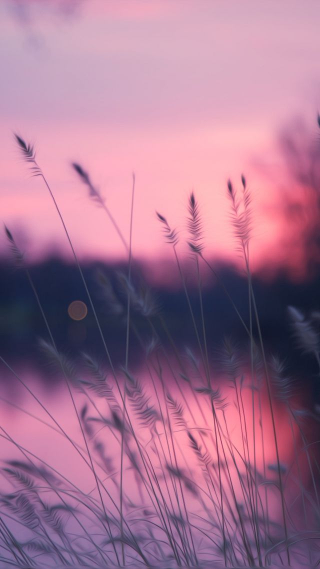 simple beautiful wallpaper,sky,nature,pink,purple,violet