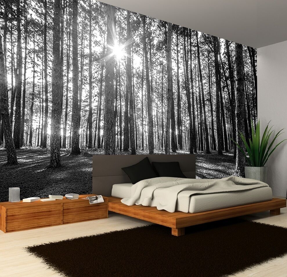 Black And White Forest Wallpaper Bedroom WallpaperUse