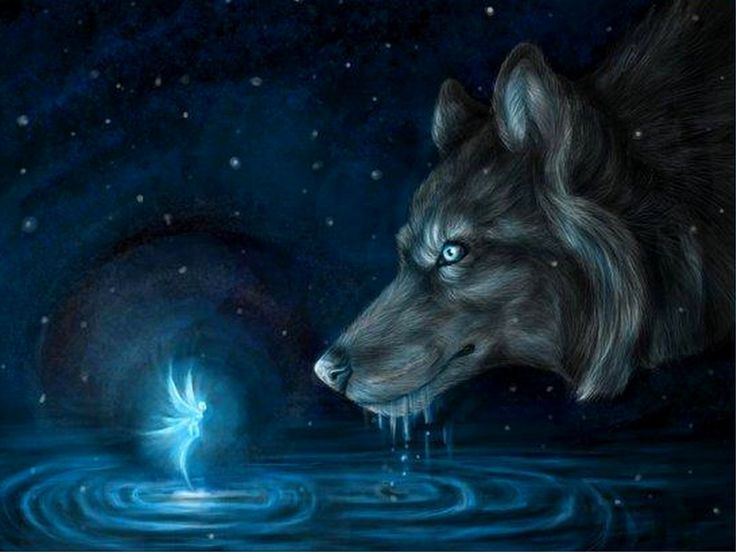 fondo de pantalla de moto e3 power,lobo,luz de la luna,oscuridad,luna,ilustración