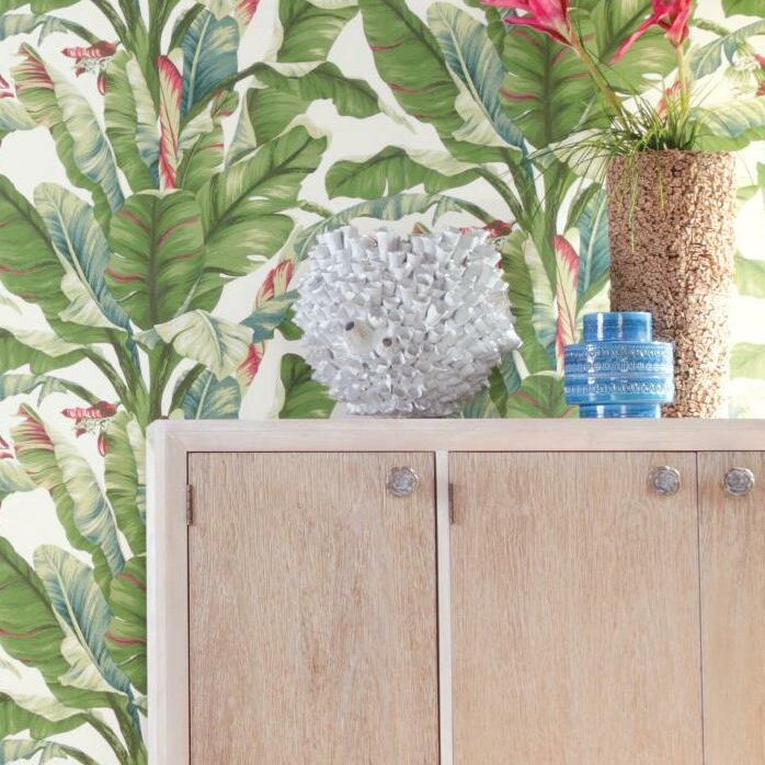 ashford tropics wallpaper,flowerpot,wall,plant,wallpaper,room