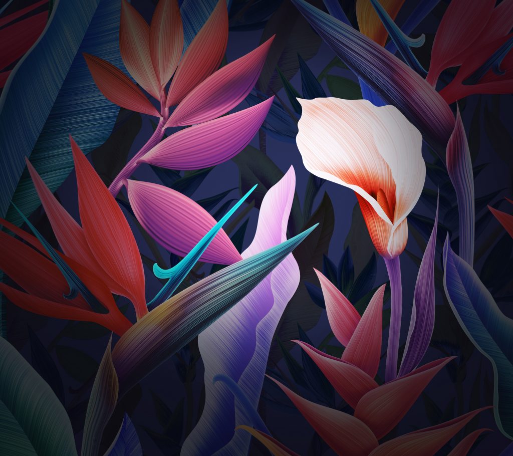 fond d'écran huawei,fleur,feuille,pétale,plante,art fractal