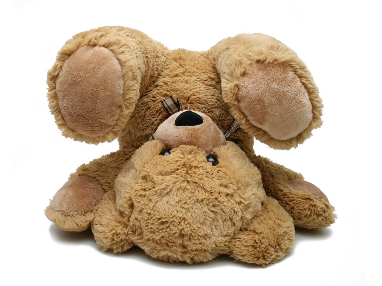 teddy bear image wallpaper,stuffed toy,plush,toy,beige,teddy bear