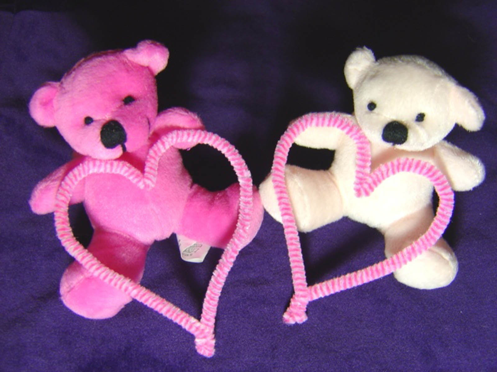 teddy bear image wallpaper,stuffed toy,teddy bear,pink,toy,product