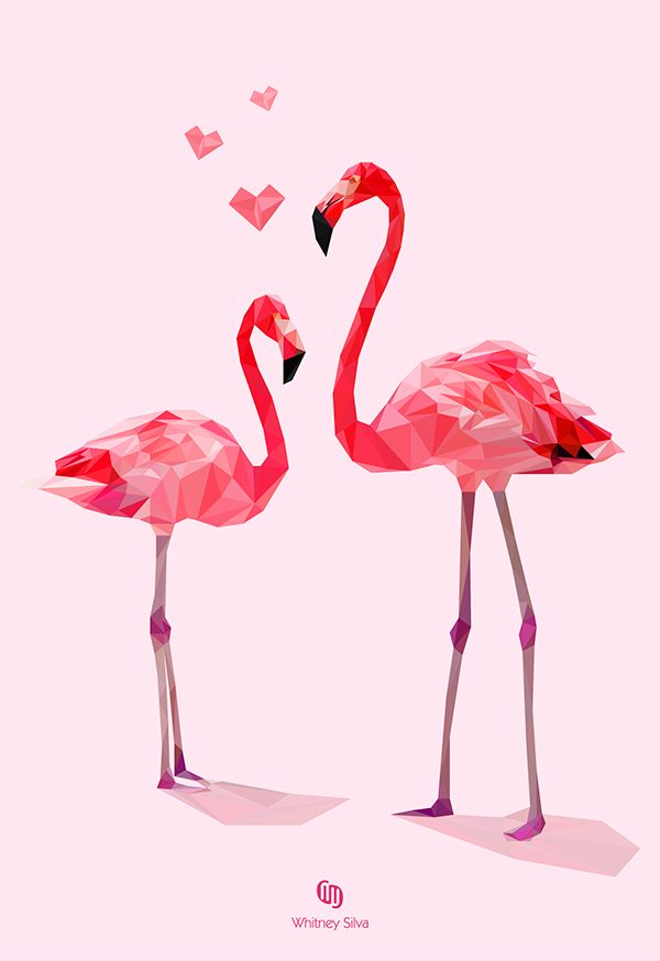süße babyhände tapeten,flamingo,vogel,größerer flamingo,rosa,wasservogel