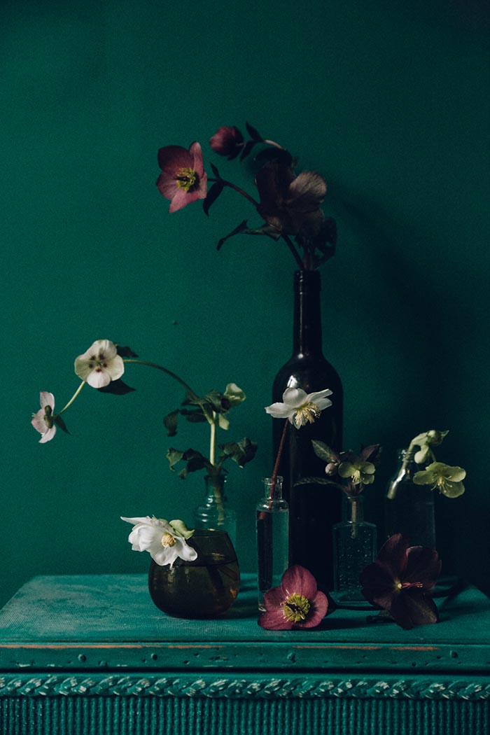 carta da parati per pareti camera da letto india,natura morta,fotografia di still life,fiore,pianta,pittura