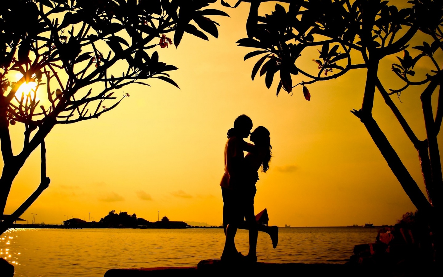 hug wallpaper download,people in nature,sky,tree,silhouette,sunset