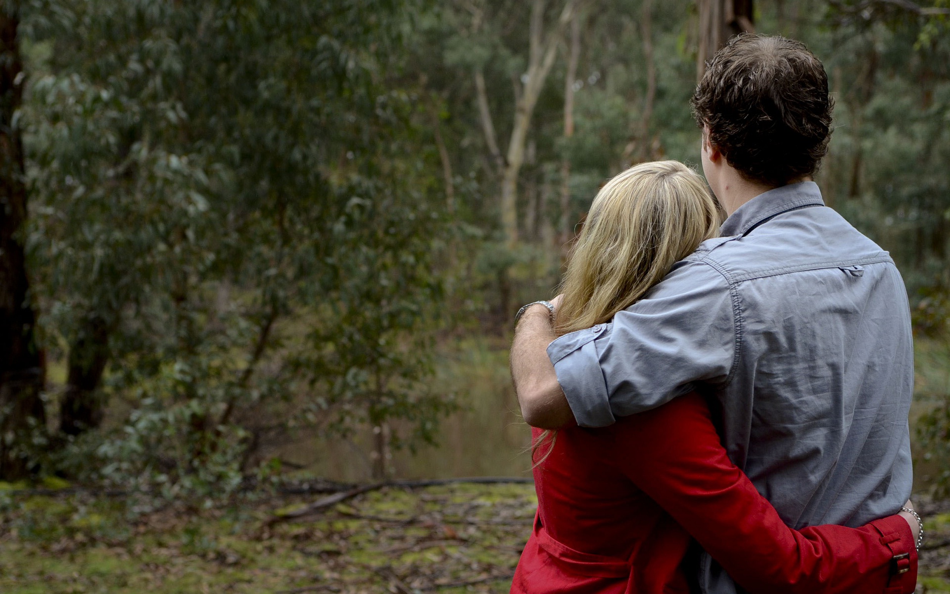 hug wallpaper download,people in nature,photograph,nature,romance,tree
