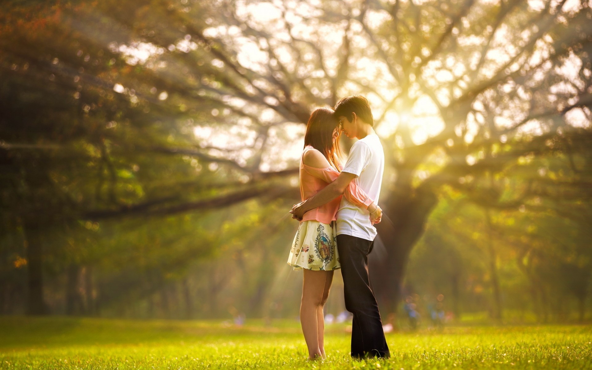 abrazo descargar fondos de pantalla,romance,fotografía,naturaleza,amor,luz del sol