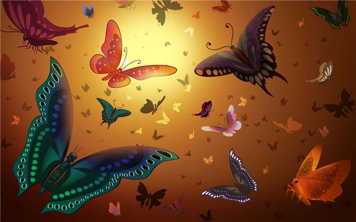 30 carte da parati austro zafer bayram,la farfalla,insetto,falene e farfalle,arte,design