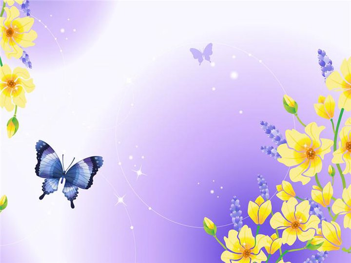 30 fondos de pantalla de austos zafer bayram,mariposa,azul,primavera,flor,insecto