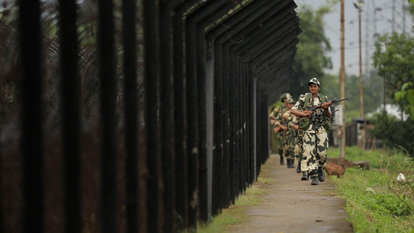 인도 bsf 벽지,병사,장난감 총,군,육군,군사 위장