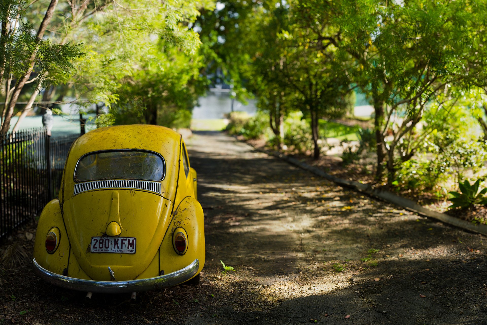 duvar kad fondos de pantalla hd,vehículo terrestre,vehículo,coche,vehículo de motor,amarillo