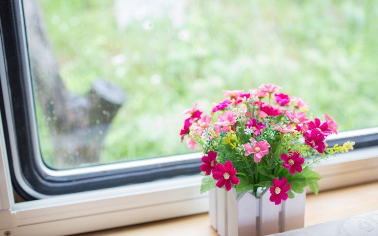 duvar kad wallpaper hd,fiore,vaso di fiori,pianta,rosa,pianta della casa