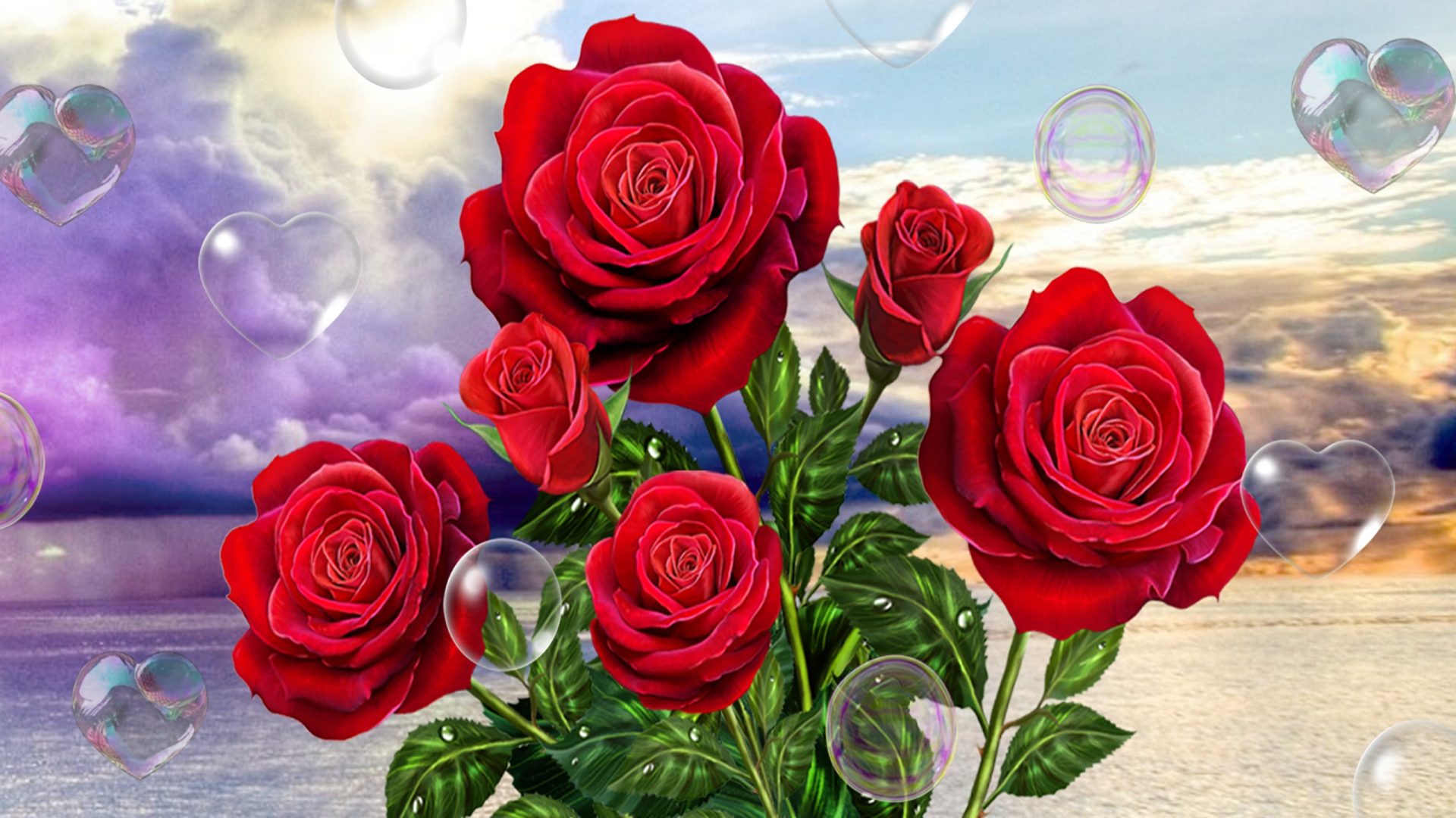 赤いバラのライブ壁紙無料ダウンロード,花,庭のバラ,ローズ,赤,バラ科