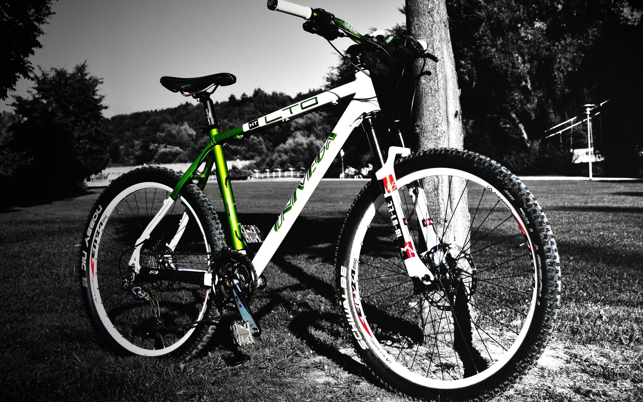 bisiklet wallpaper,land vehicle,bicycle,bicycle wheel,bicycle frame,vehicle