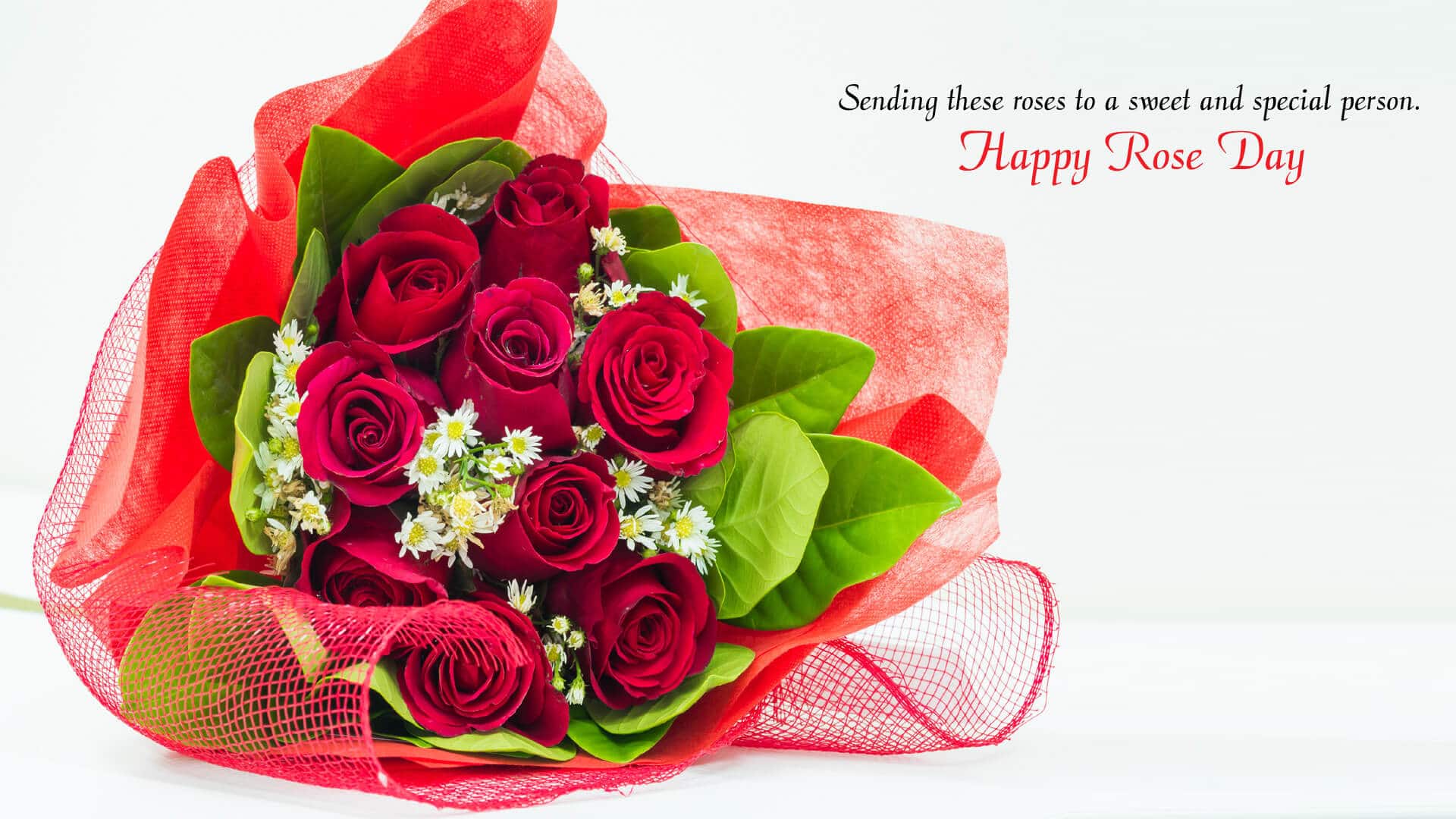 happy rose day hd wallpaper,flower,red,cut flowers,rose,bouquet