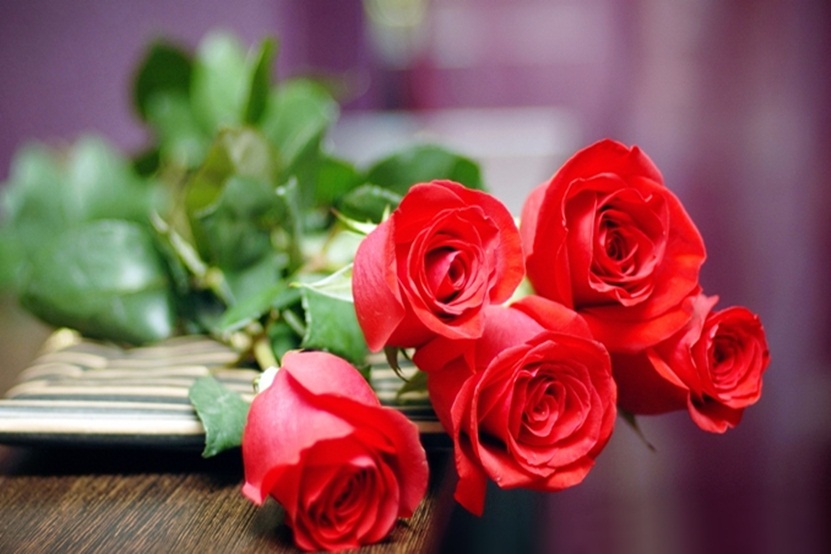 happy rose day fondo de pantalla hd,flor,rosas de jardín,rojo,rosa,pétalo