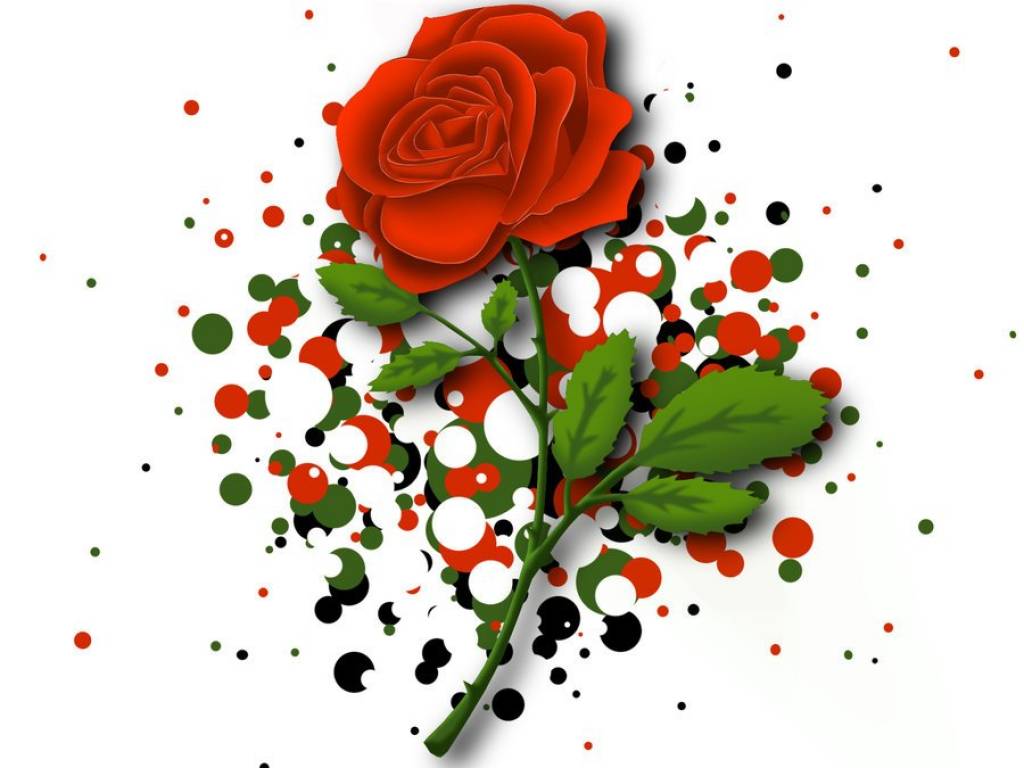 幸せなバラの日のhdの壁紙,花,花弁,ローズ,赤,バレンタイン・デー