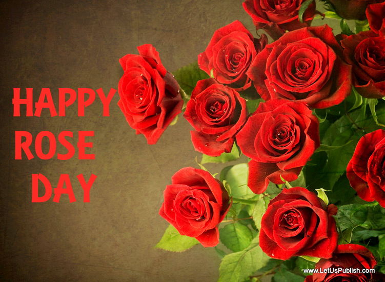 happy rose day hd wallpaper,blume,gartenrosen,rose,rot,floribunda