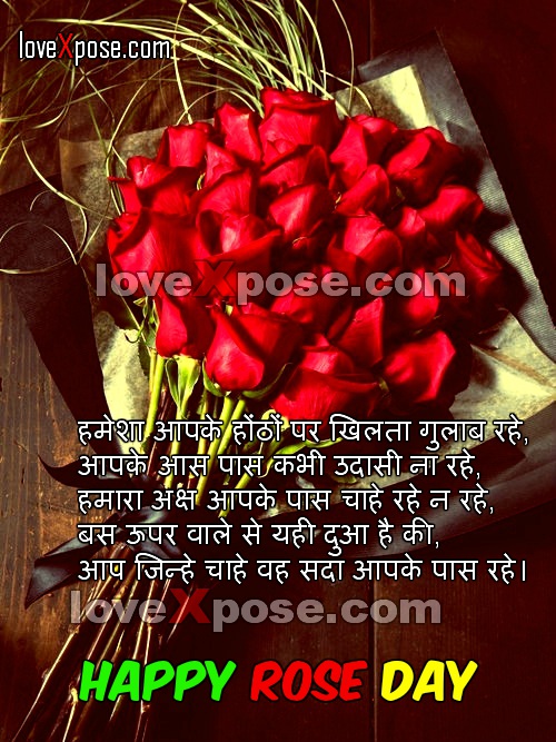happy rose day hd wallpaper,red,text,rose,plant,flower