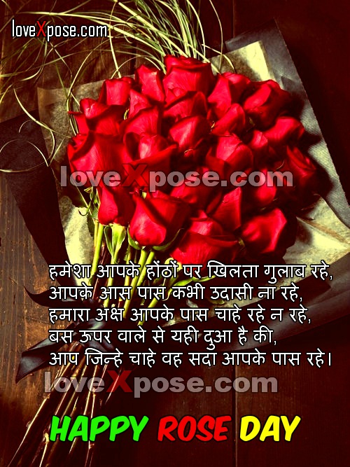 happy rose day fondo de pantalla hd,rojo,texto,rosa,planta,flor