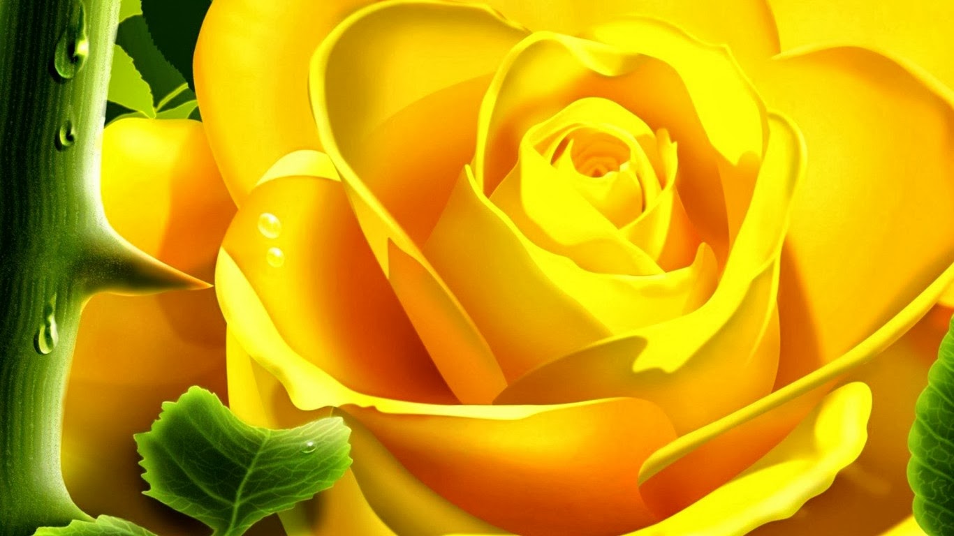 happy rose day hd wallpaper,julia kind stand auf,gartenrosen,blume,gelb,rose