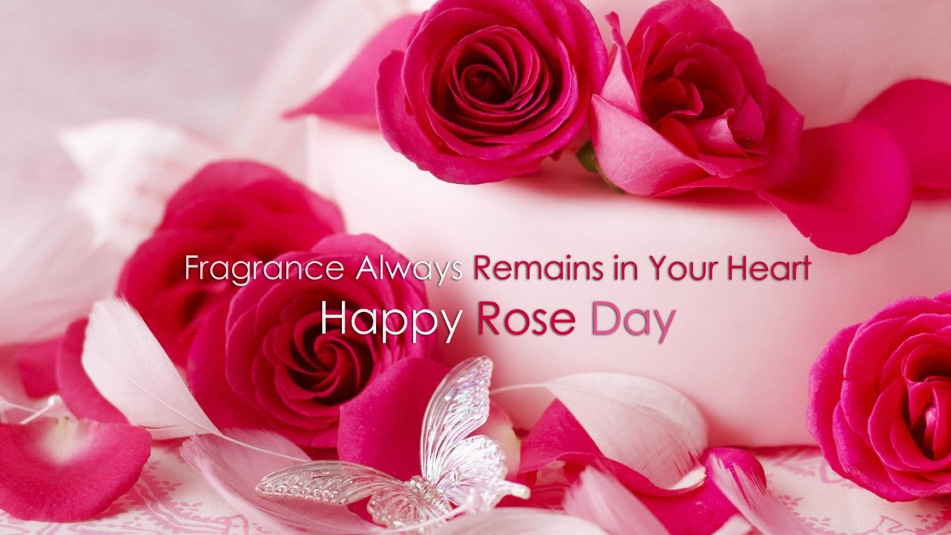 happy rose day hd wallpaper,pink,garden roses,petal,flower,rose