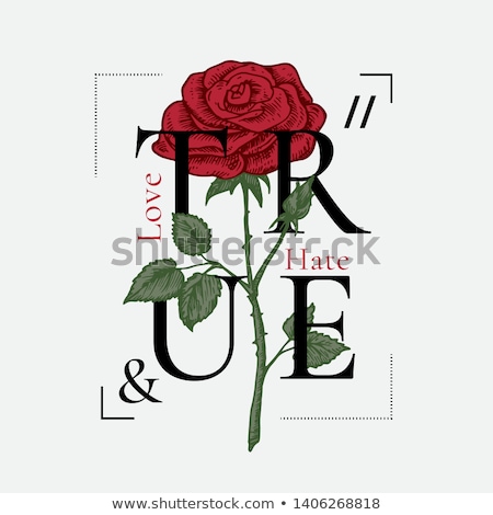 i hate girls wallpaper,flower,rose,red,floribunda,illustration