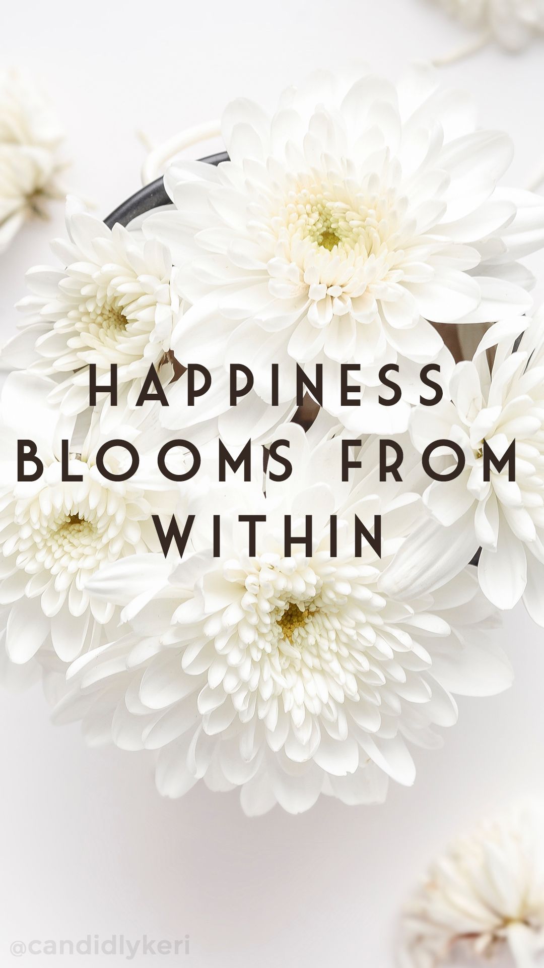 floral quote wallpaper,flower,text,font,cut flowers,petal