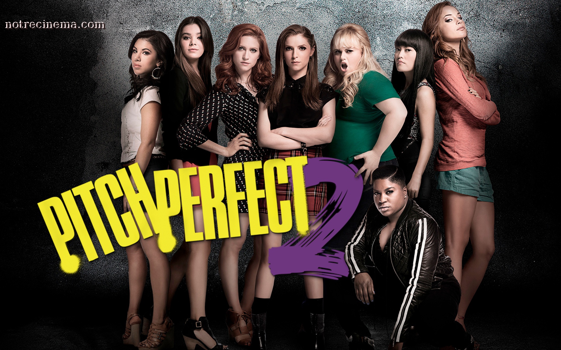 pitch perfect wallpaper,social group,youth,event,musical,fun