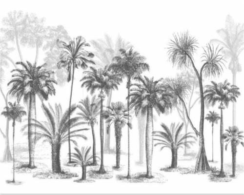 carta da parati satria baja hitam,albero,palma,palma da dattero,attalea speciosa,pianta legnosa