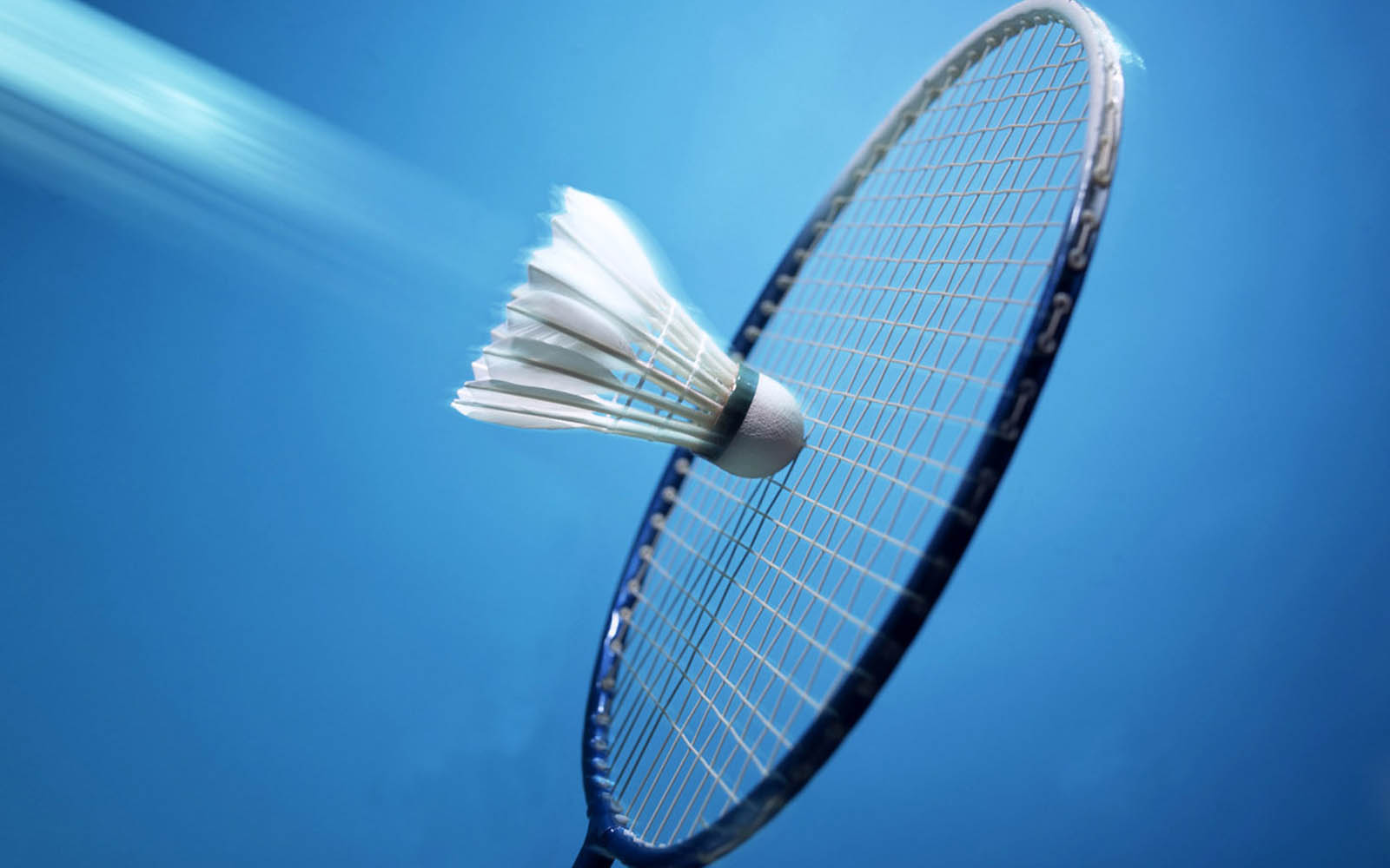 wallpaper bulutangkis,blue,racquet sport,badminton,racket,azure