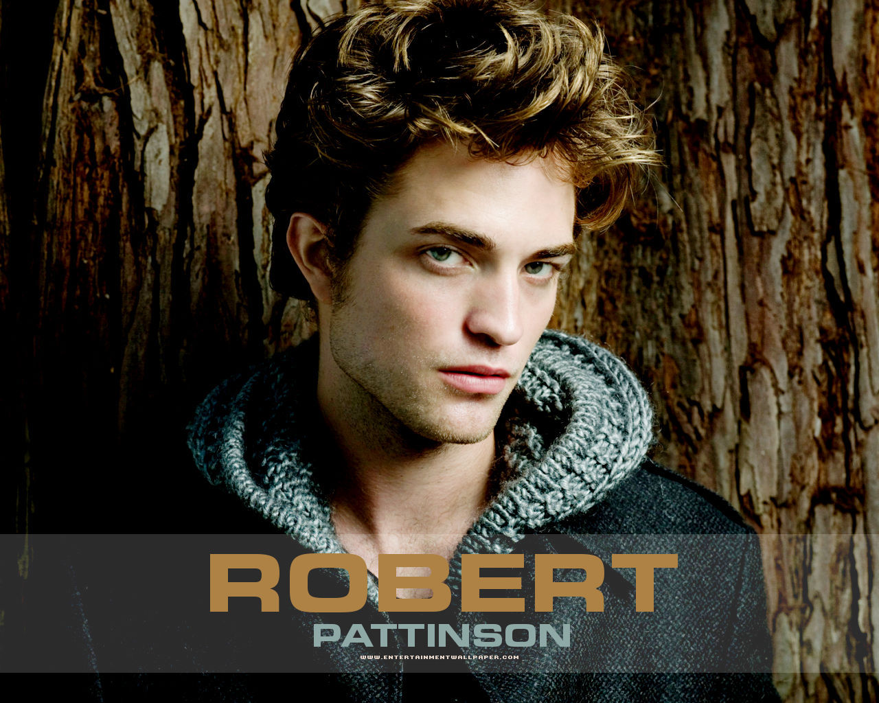 robert pattinson fonds d'écran hd,cheveux,coiffure,couverture de l'album,film,cheveux surfeur