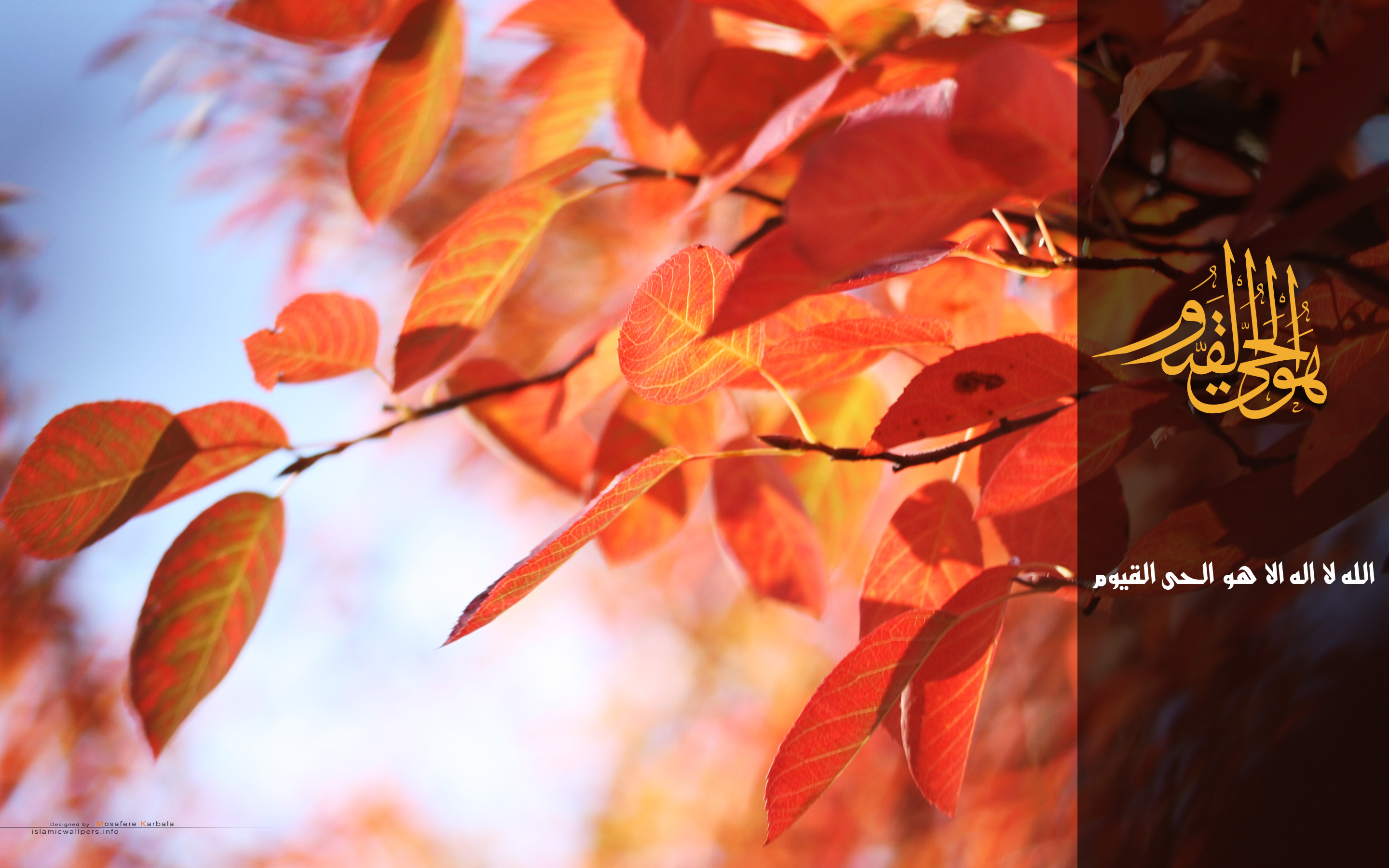 fond d'écran nom khalid,feuille,arbre,orange,rouge,brindille