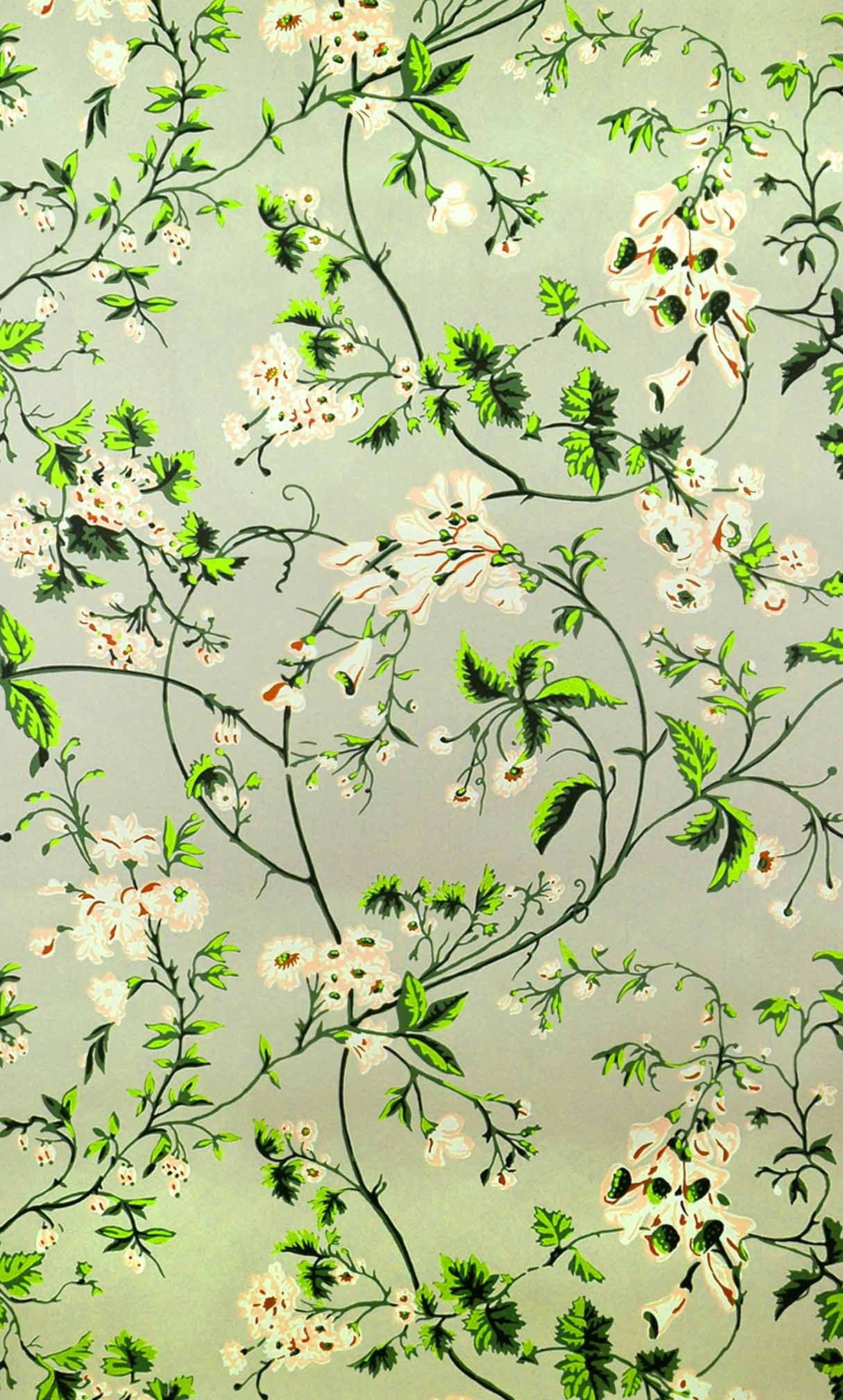 khalid name wallpaper,pflanze,blume,baum,muster,wildblume