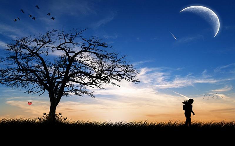 leave me alone wallpaper,sky,nature,natural landscape,tree,cloud