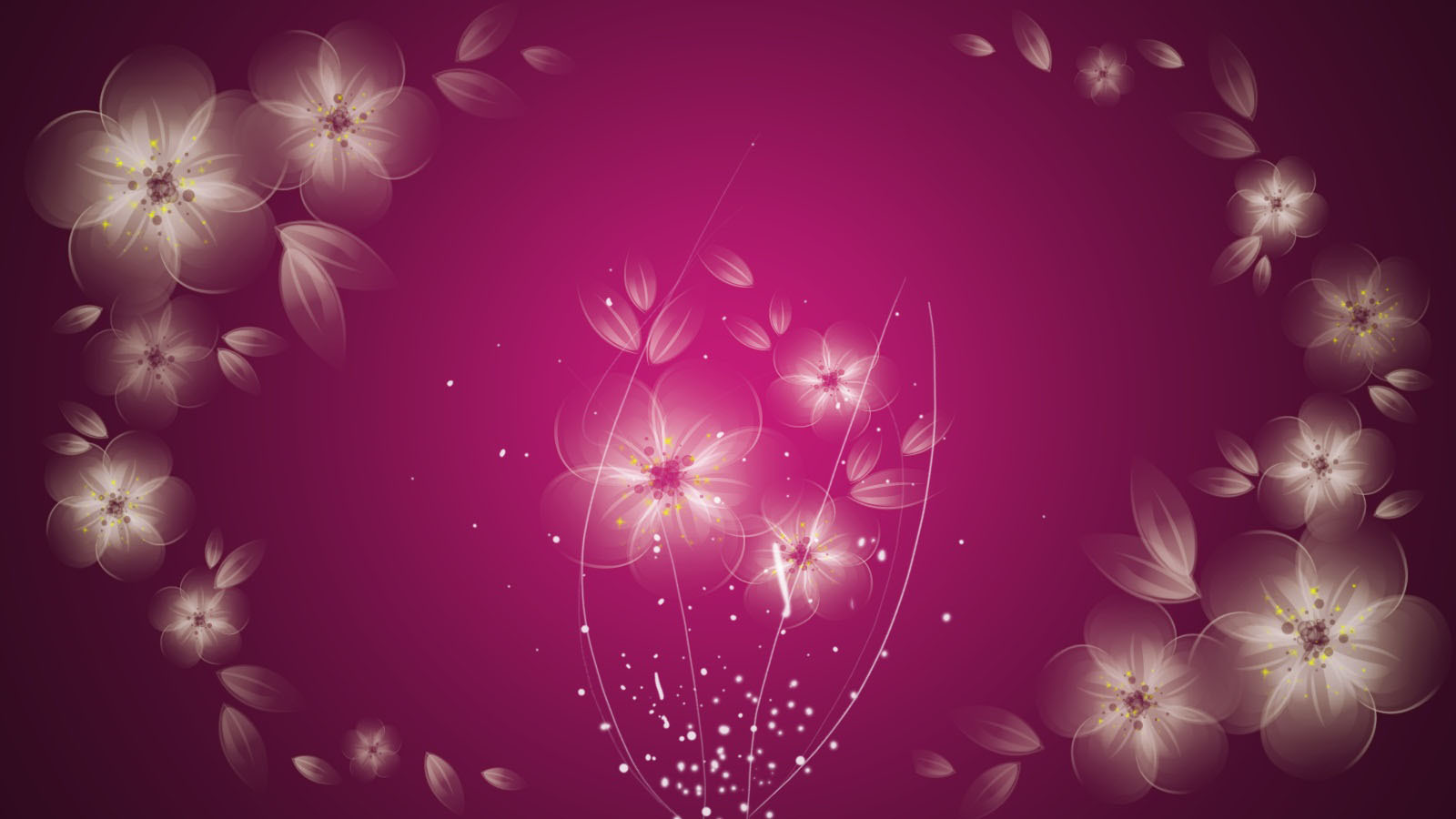 pink colour flowers wallpapers,pink,red,purple,sky,pattern