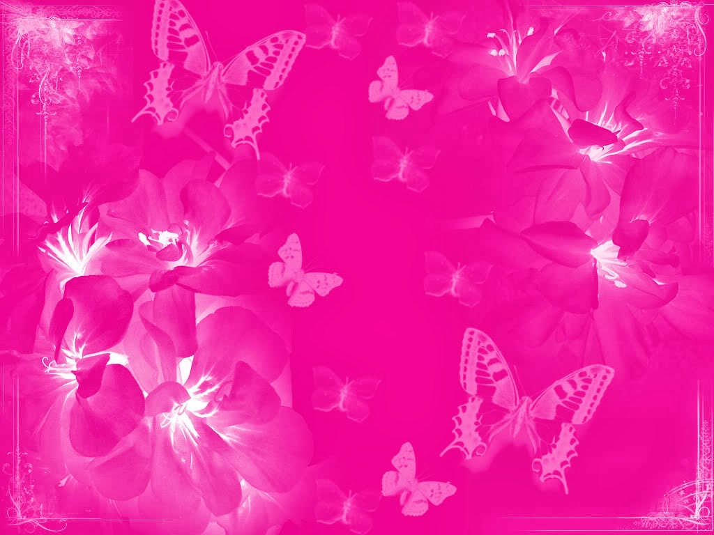핑크 컬러 꽃 배경 화면,분홍,나비,보라색,무늬,디자인