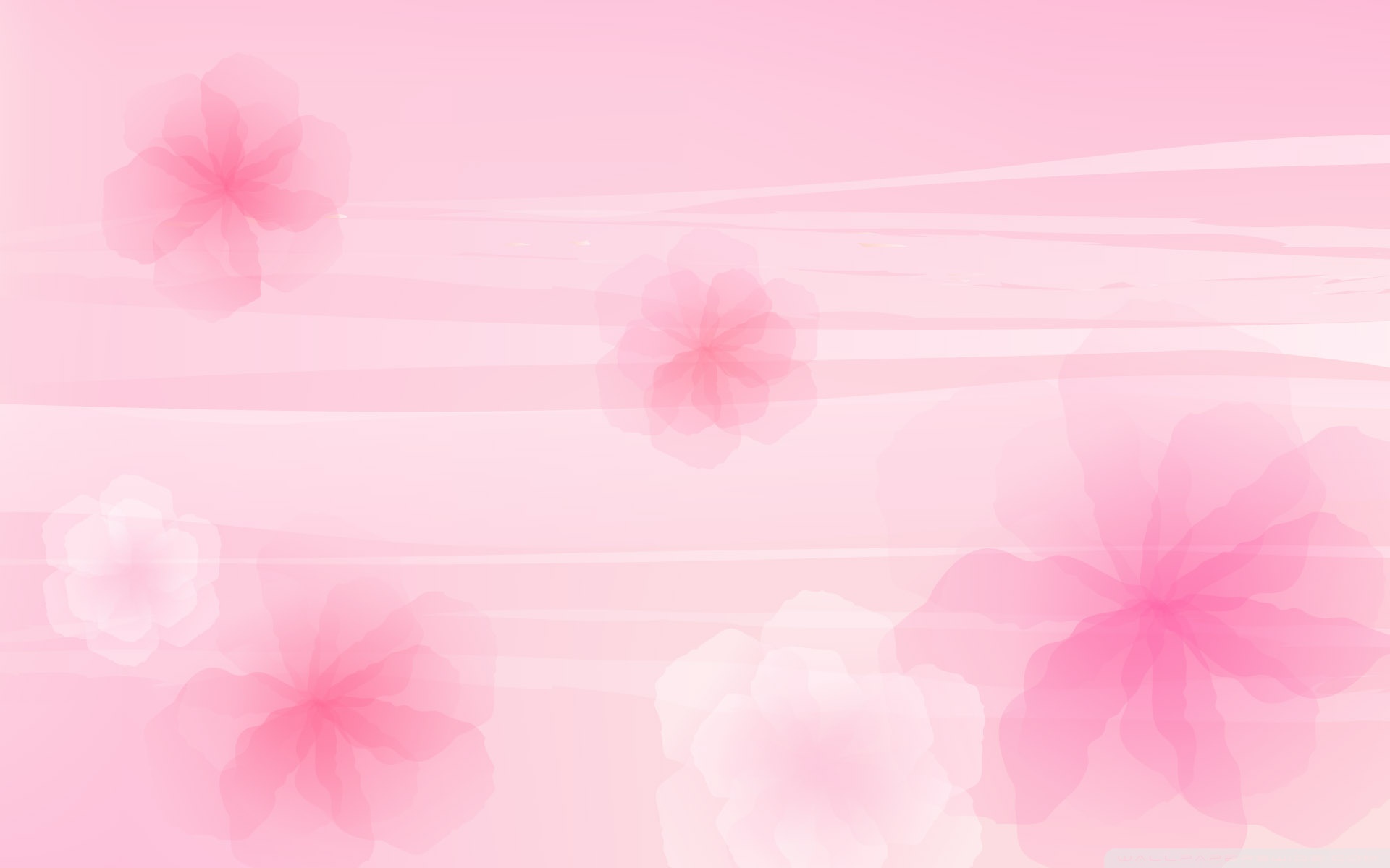 ピンク色の花の壁紙,ピンク,パターン,ライン,花弁,花