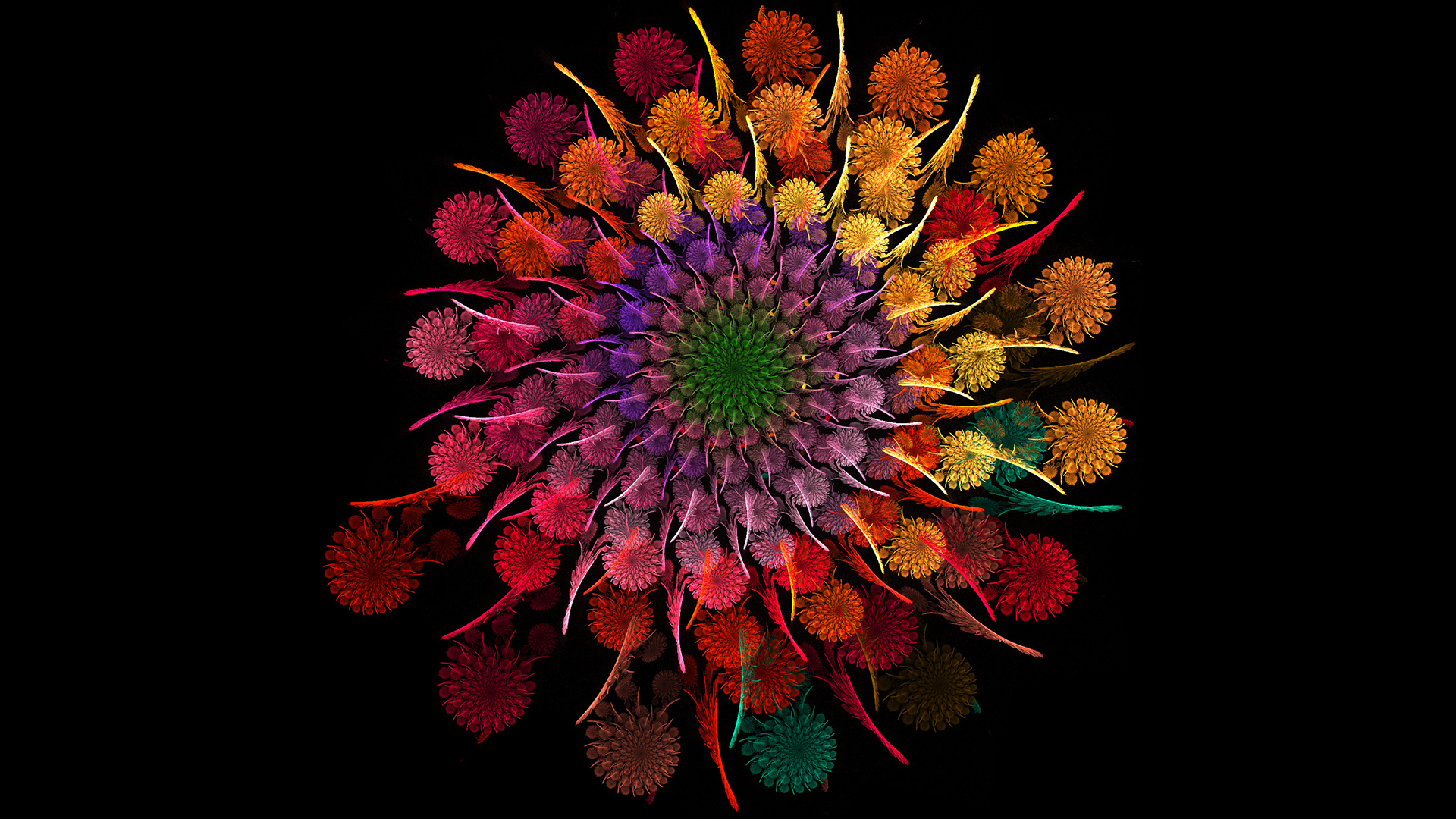 fonds d'écran de fleurs de couleur rose,fleur,plante,art fractal,fleurs coupées,pétale